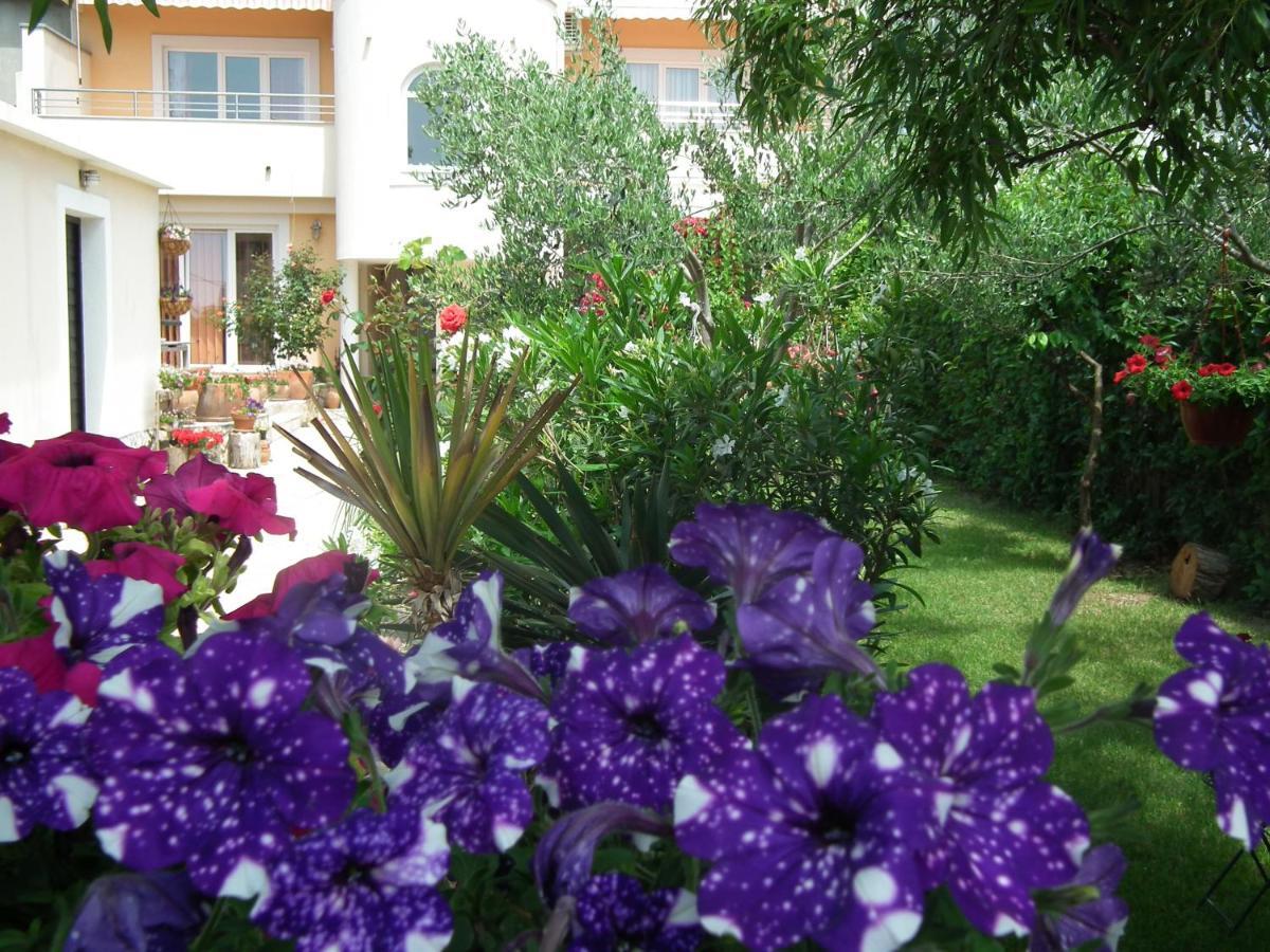Jadranka Apartment Privlaka (Zadar)