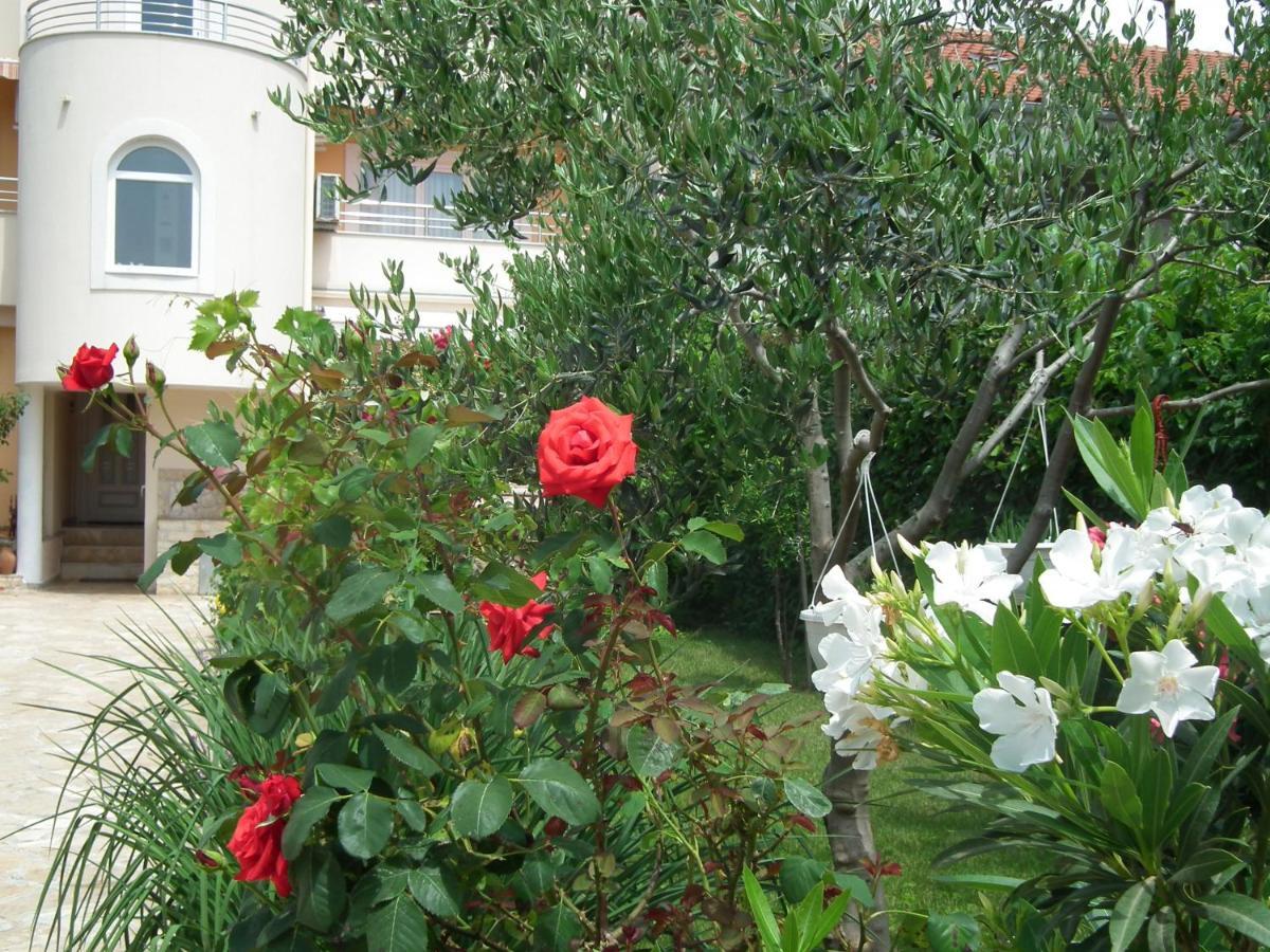Jadranka Apartment Privlaka (Zadar)
